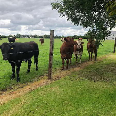 Castan House - 30 Minutes To Dublin Airport Kildare